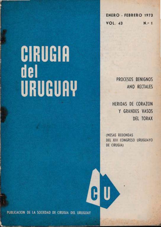 					Ver Vol. 43 Núm. 1 (1973): Cirugía del Uruguay
				