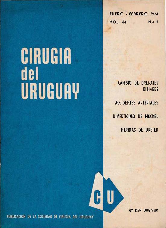 					Ver Vol. 44 Núm. 1 (1974): Cirugía del Uruguay
				