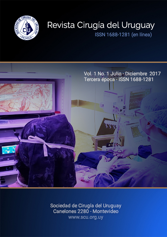 					Ver Vol. 1 Núm. 1 (2017): Revista Cirugía del Uruguay
				