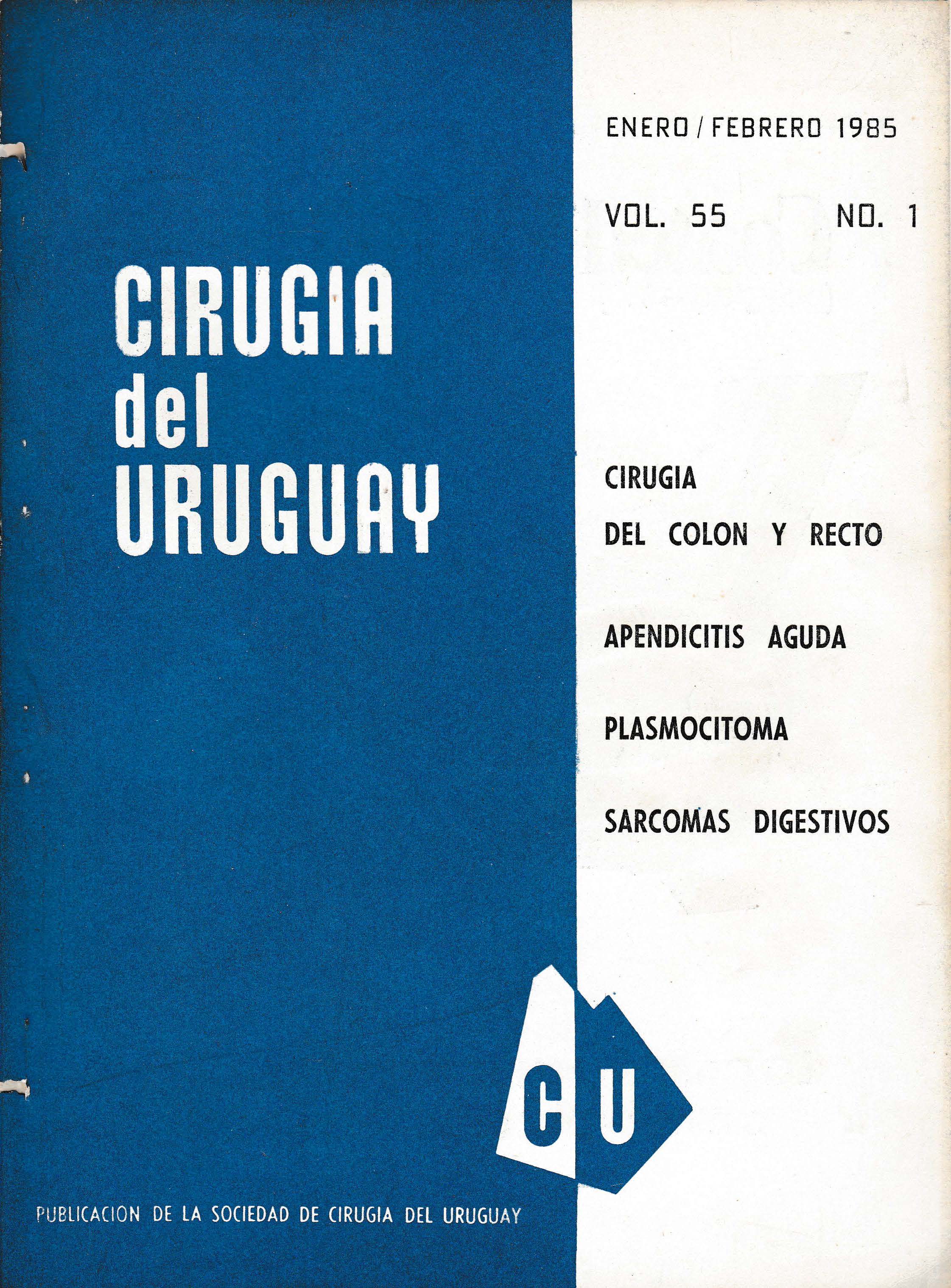 					Ver Vol. 55 Núm. 1 (1985): Cirugía del Uruguay
				