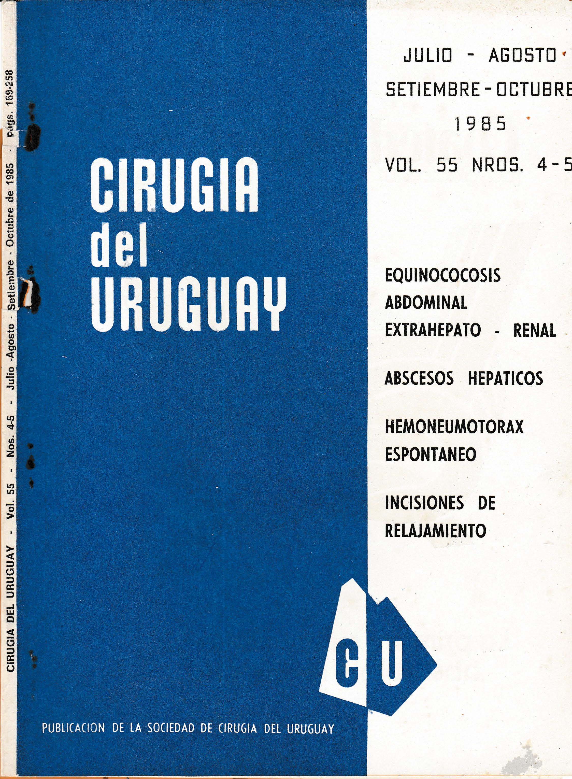 					Visualizar v. 55 n. 4-5 (1985): Cirugía del Uruguay
				
