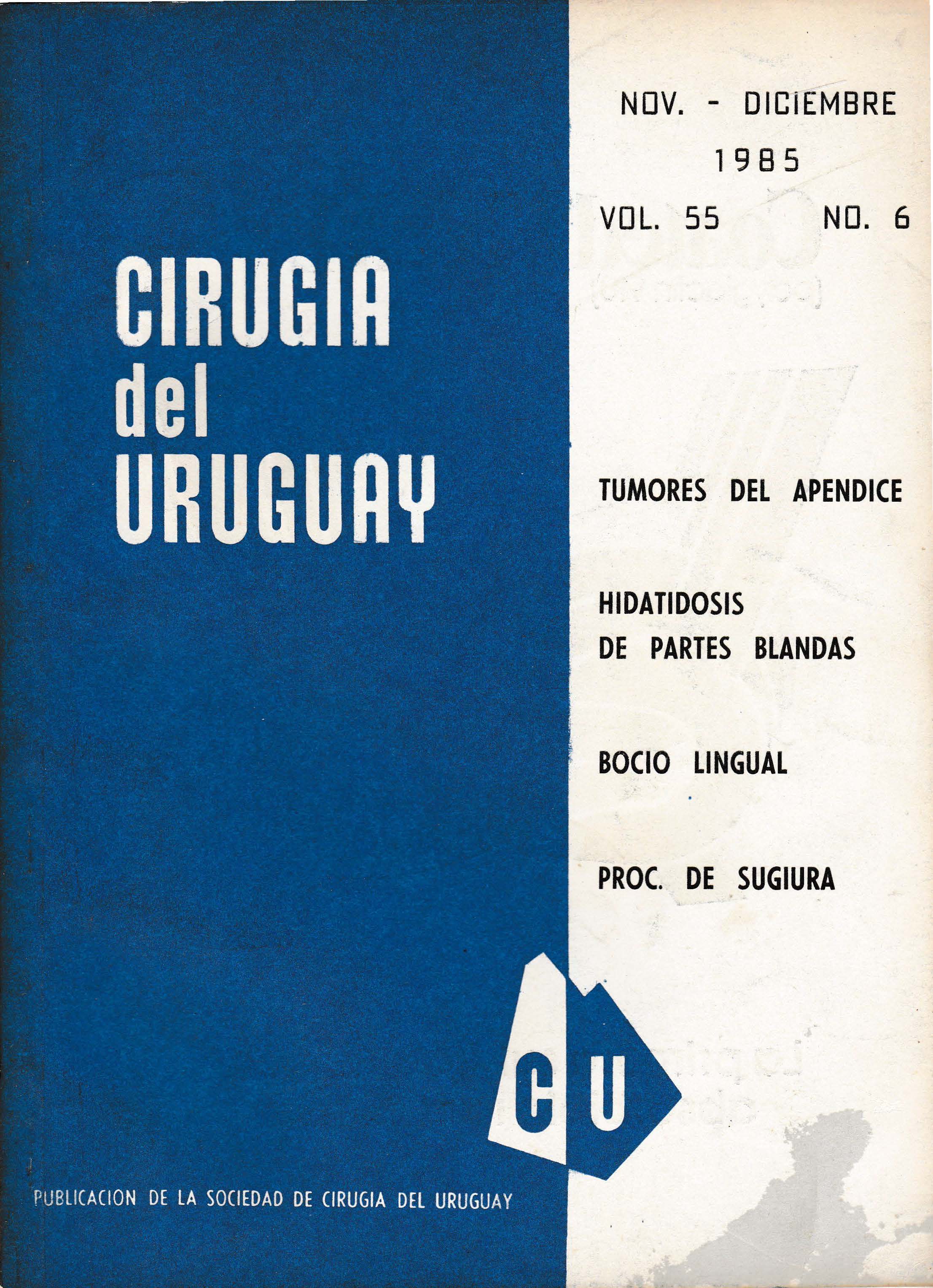 					Ver Vol. 55 Núm. 6 (1985): Cirugía del Uruguay
				