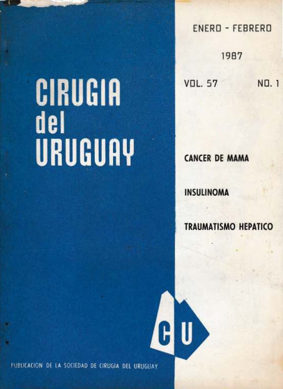					Ver Vol. 57 Núm. 1 (1987): Cirugía del Uruguay
				