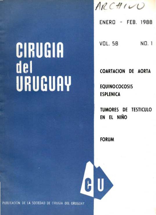 					Ver Vol. 58 Núm. 1 (1988): Cirugía del Uruguay
				