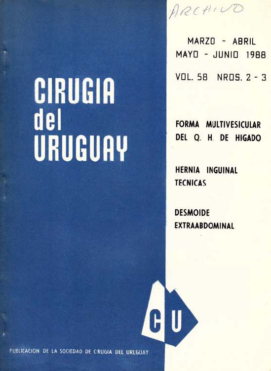 					Visualizar v. 58 n. 2-3 (1988): Cirugía del Uruguay
				