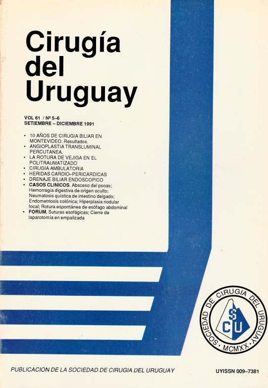 					Ver Vol. 61 Núm. 5-6 (1991): Cirugía del Uruguay
				