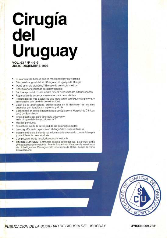 					View Vol. 63 No. 4-5-6 (1993): Cirugía del Uruguay
				