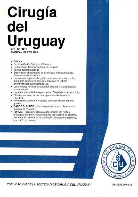 					Ver Vol. 65 Núm. 1 (1995): Cirugía del Uruguay
				