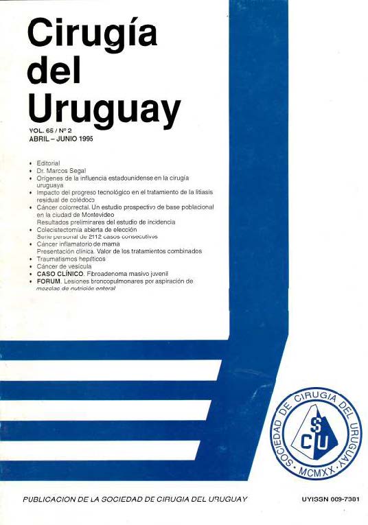 					Ver Vol. 65 Núm. 2 (1995): Cirugía del Uruguay
				