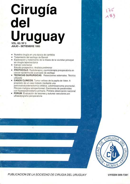 					Ver Vol. 65 Núm. 3 (1995): Cirugía del Uruguay
				