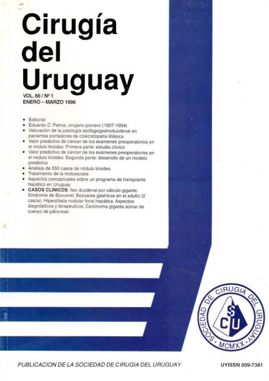 					Ver Vol. 66 Núm. 1 (1996): Cirugía del Uruguay
				