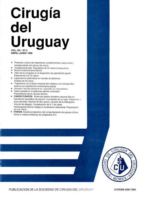 					Ver Vol. 66 Núm. 2 (1996): Cirugía del Uruguay
				