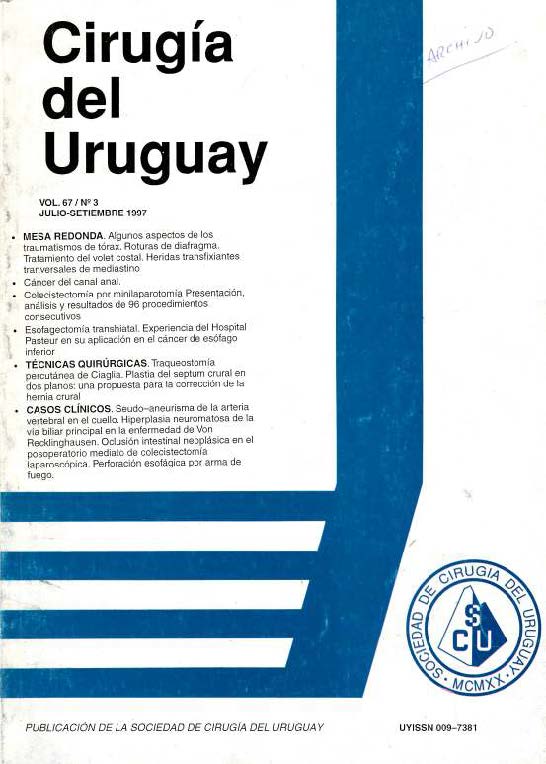 					Ver Vol. 67 Núm. 3 (1997): Cirugía del Uruguay
				