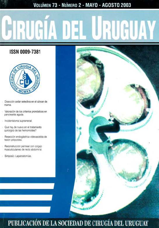 					Ver Vol. 73 Núm. 2 (2003): Cirugía del Uruguay
				