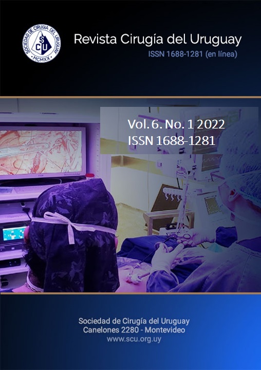 					Ver Vol. 6 Núm. 1 (2022): Revista Cirugía del Uruguay
				