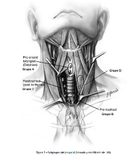 nódulo tiroideo